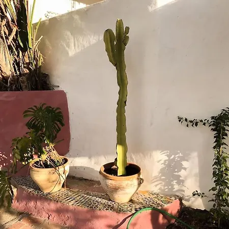 Little Paradise In Fuente Conejo Villa Malaga
