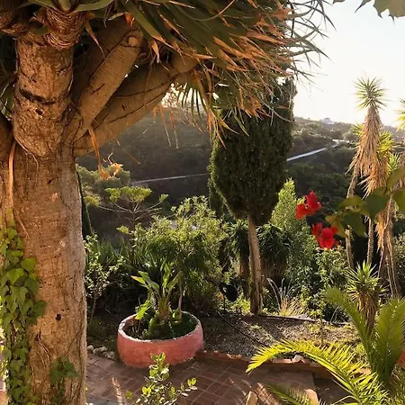 Villa Little Paradise In Fuente Conejo Malaga